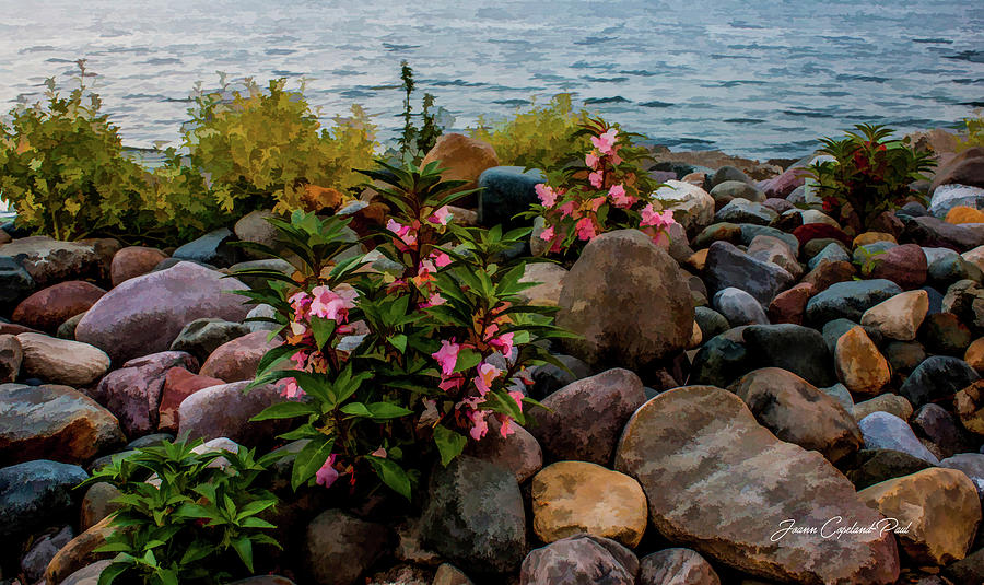 Flower Photograph - Rocky Shores of Lake St. Clair- Michigan by Joann Copeland-Paul