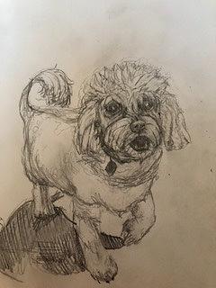 Rocky Sketch Drawing by Michell Givens