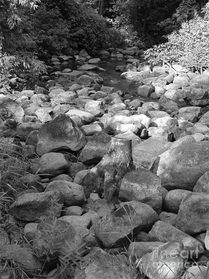 Black And White Photograph - Rocky Stream by Phil Perkins