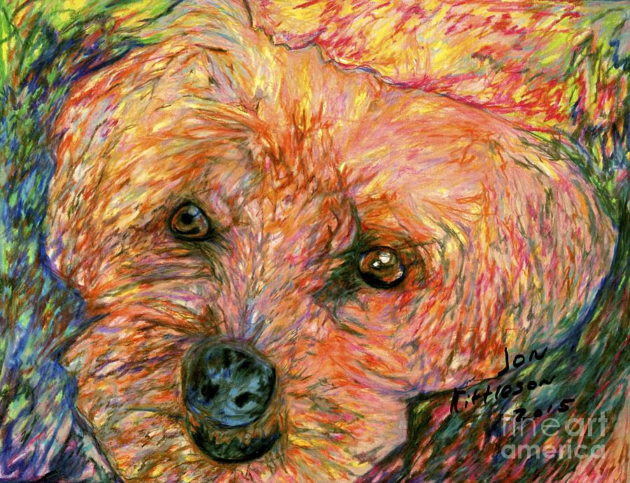 Rocky the dog Drawing by Jon Kittleson