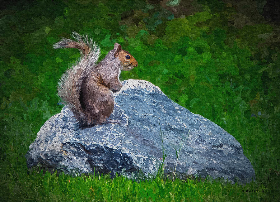 Rocky The Squirrel - Paint FX Photograph by Brian Wallace