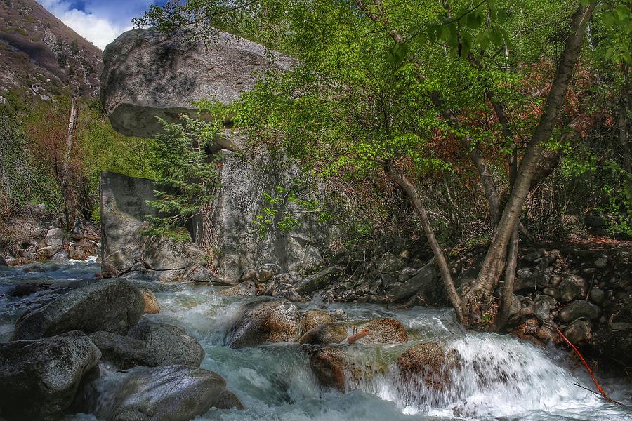 Rocky Utah Stream  Photograph by Buck Buchanan
