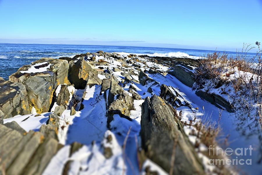 Rocky Winter Maine Coast Photograph by Elizabeth Dow