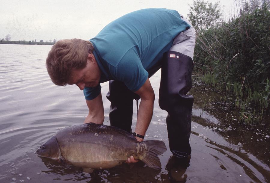 Rod Hutchinson returning a UK mirror Photograph by Carp Archive