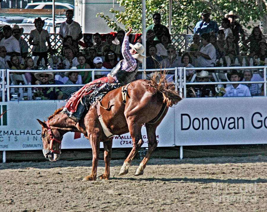Rodeo 1 Photograph by Tom Griffithe
