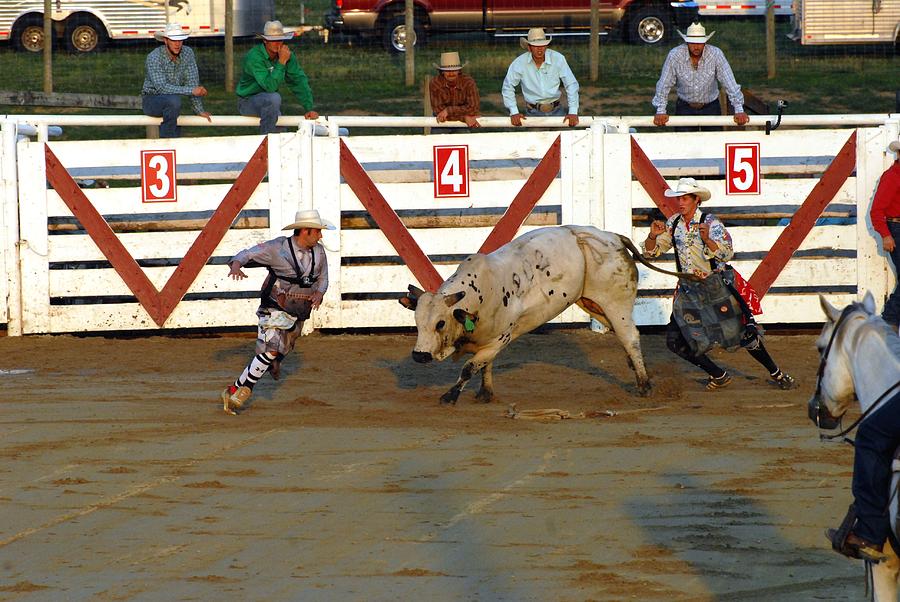 Rodeo 335 Photograph by Joyce StJames