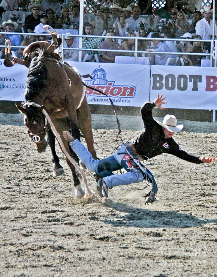 Rodeo 4 Photograph by Tom Griffithe