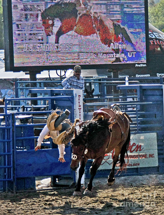 Rodeo 5 Photograph by Tom Griffithe