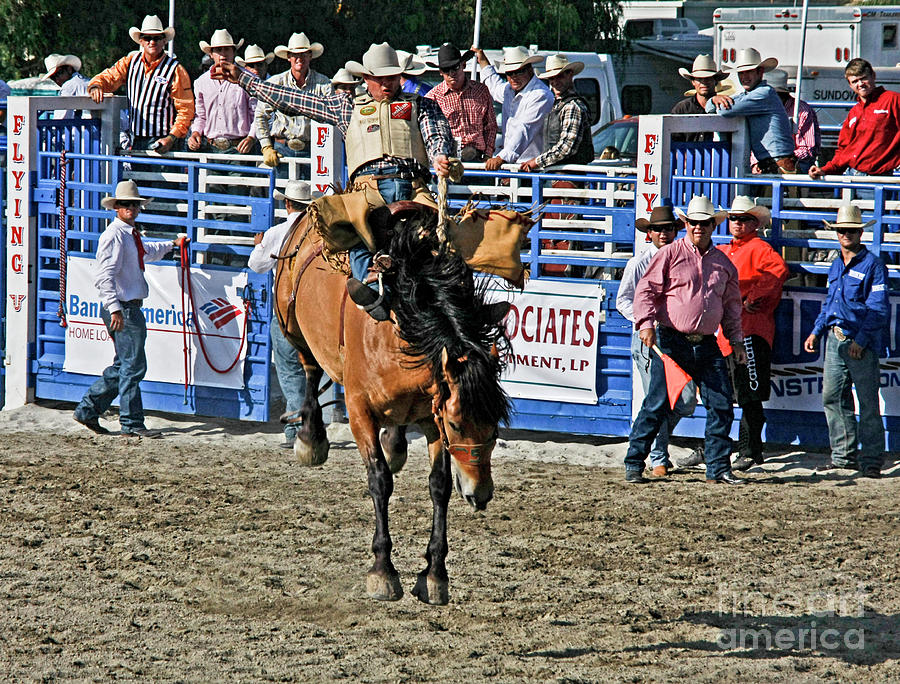Rodeo 7 Photograph by Tom Griffithe
