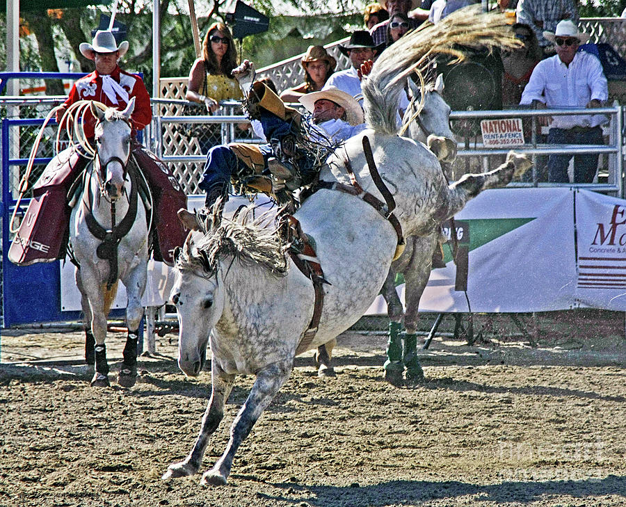 Rodeo 2 Photograph by Tom Griffithe