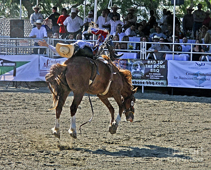 Rodeo 9 Photograph by Tom Griffithe