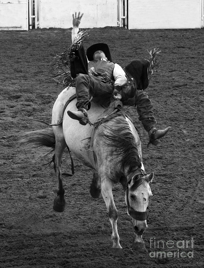 Rodeo Bareback Riding 1 Photograph by Bob Christopher