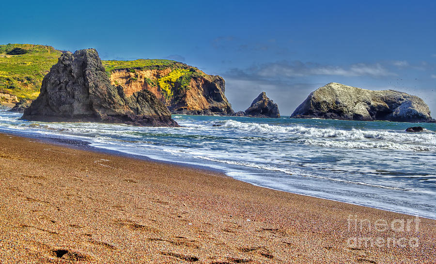 San Francisco Photograph - Rodeo Beach by Paul Gillham