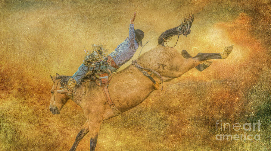 Rodeo Bronco Riding Five Digital Art