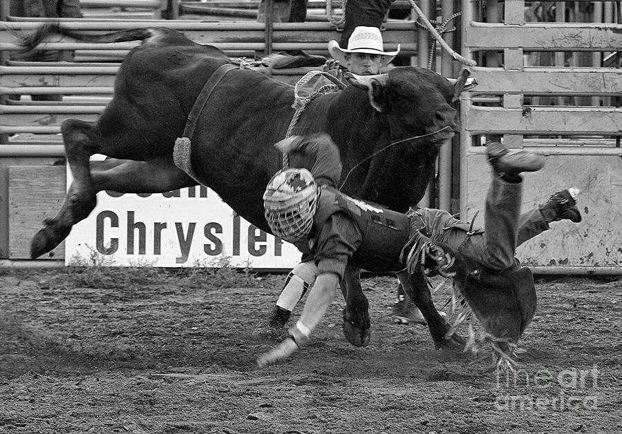 Bull Photograph - Rodeo Bull Riding 3 by Bob Christopher