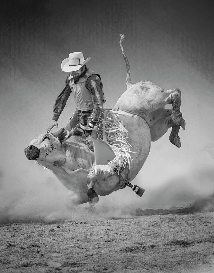 Rodeo Bull Riding Photograph by Eleanor Bortnick