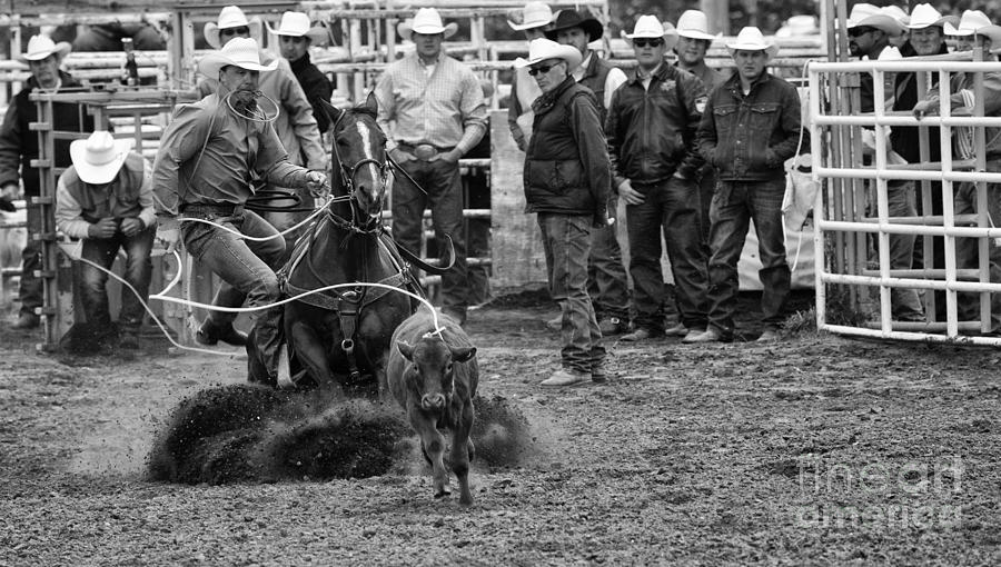 Rodeo Calf Roping 1 Photograph by Bob Christopher