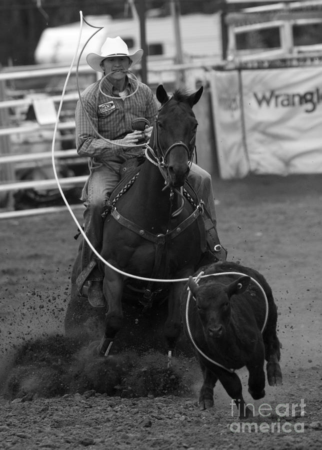 Rodeo Calf Roping 2 Photograph by Bob Christopher