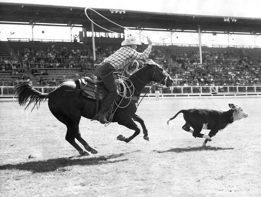 Rodeo Calf Roping Contest Photograph by Underwood Archives