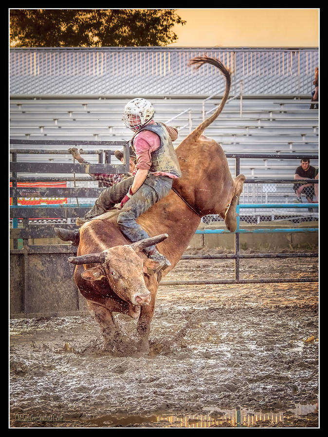 Rodeo Cowboy Photograph by LeeAnn McLaneGoetz McLaneGoetzStudioLLCcom