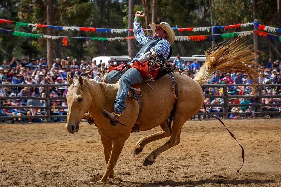 Rodeo Fun Photograph by Robert Caddy