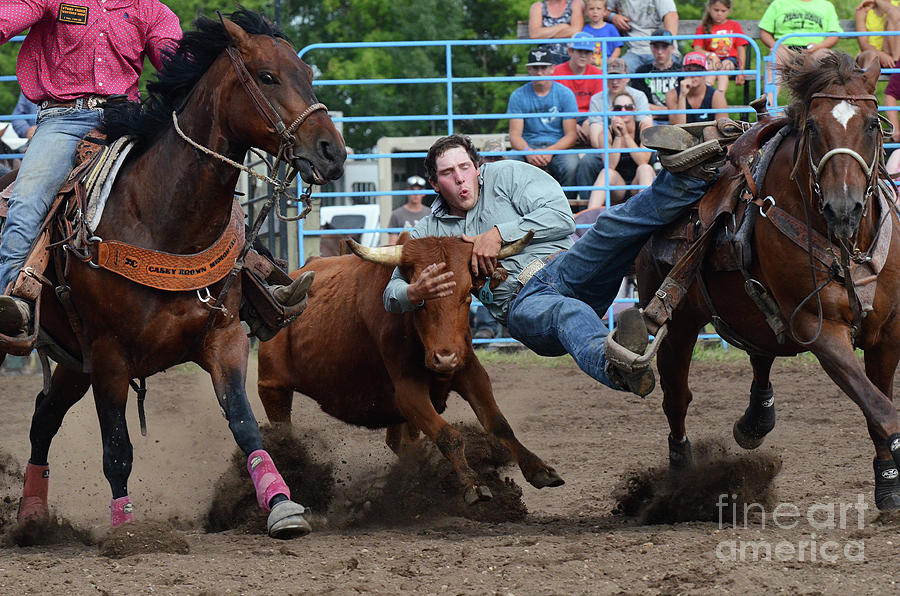 Horse Photograph - Rodeo Life 3 by Bob Christopher
