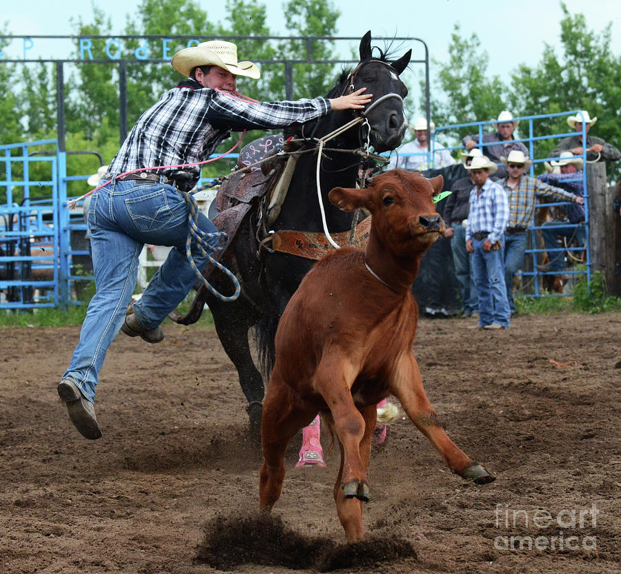 Rodeo Life 4 Photograph by Bob Christopher