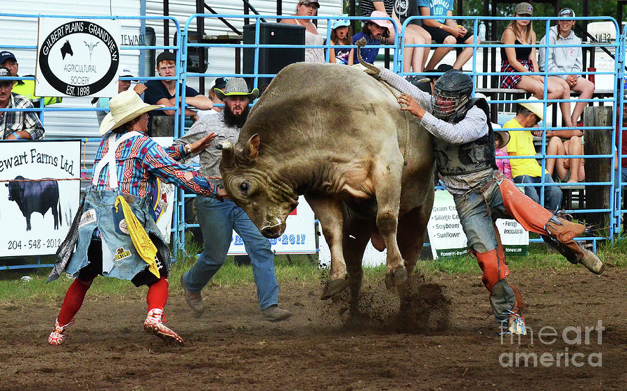 Rodeo Life 5 Photograph by Bob Christopher