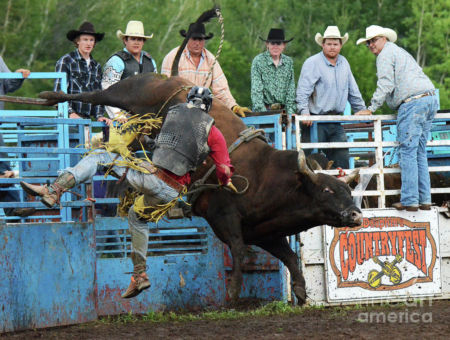 Rodeo Life 6 Photograph by Bob Christopher