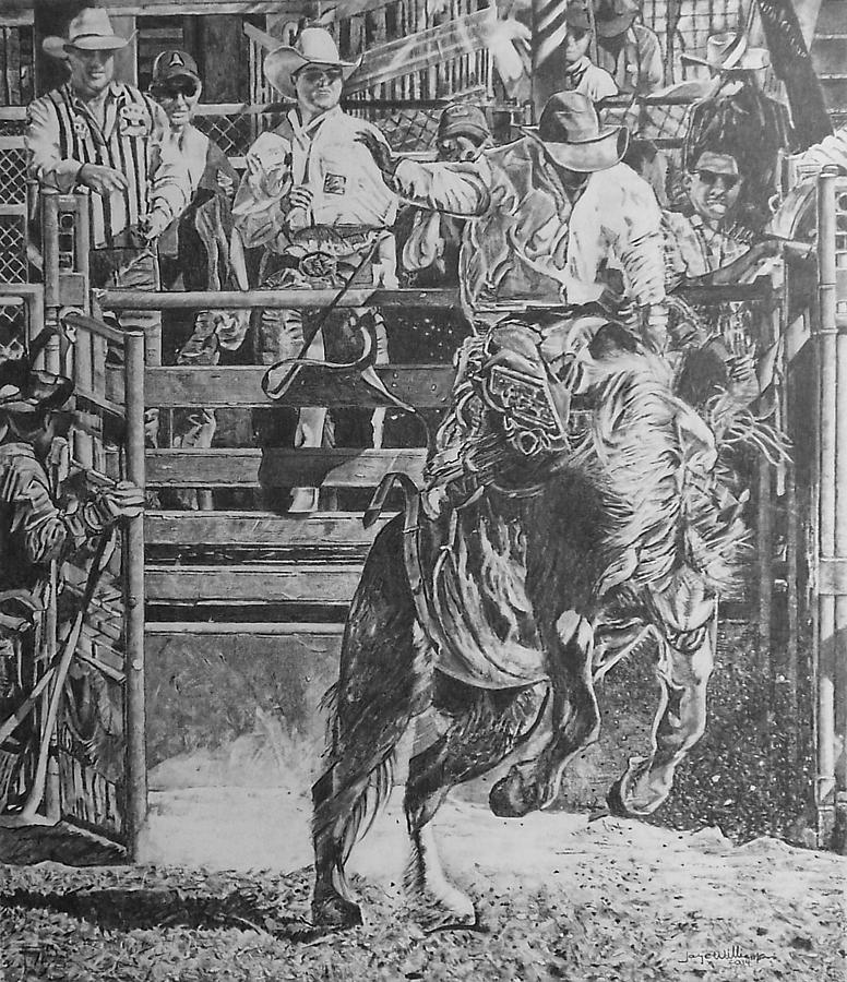 Rodeo Man Drawing by Jaye Williamson Fine Art America