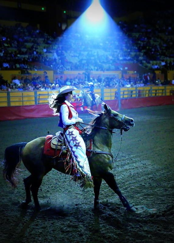 Rodeo Queen In The Spotlight Photograph By John King Pixels