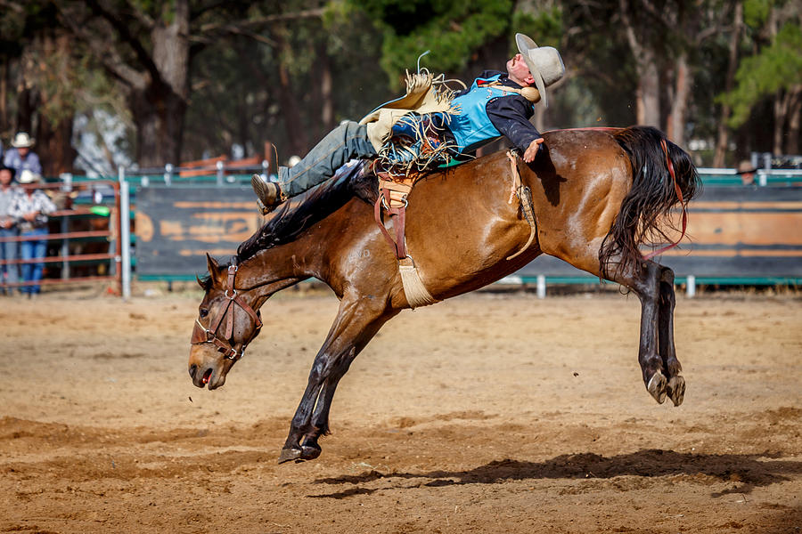 Rodeo Ride Photograph by Robert Caddy