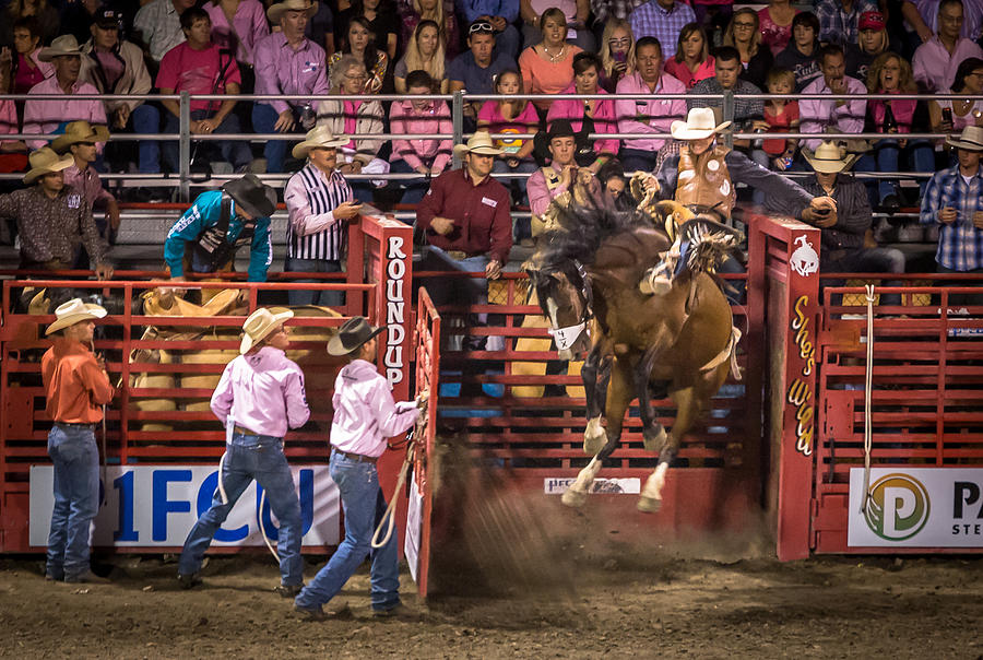 Rodeo Rider Photograph by Brad Stinson