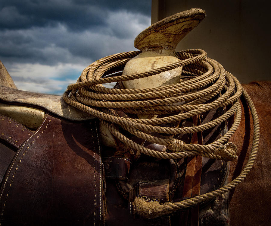 Rodeo Saddle Detail Photograph by Jean Noren