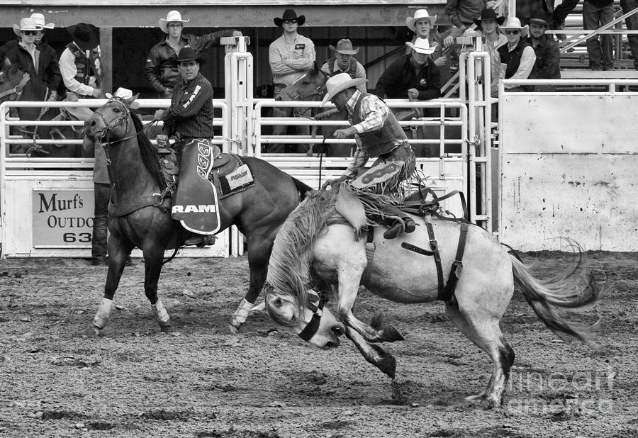Rodeo Saddleback Riding 2 Photograph by Bob Christopher