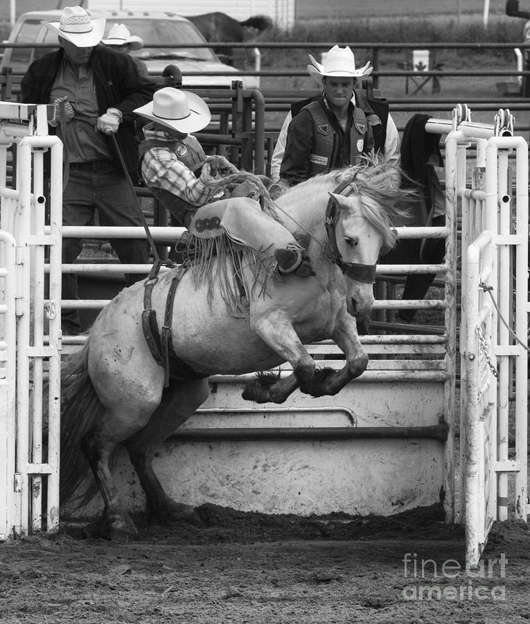 Rodeo Saddleback Riding 5 Photograph by Bob Christopher