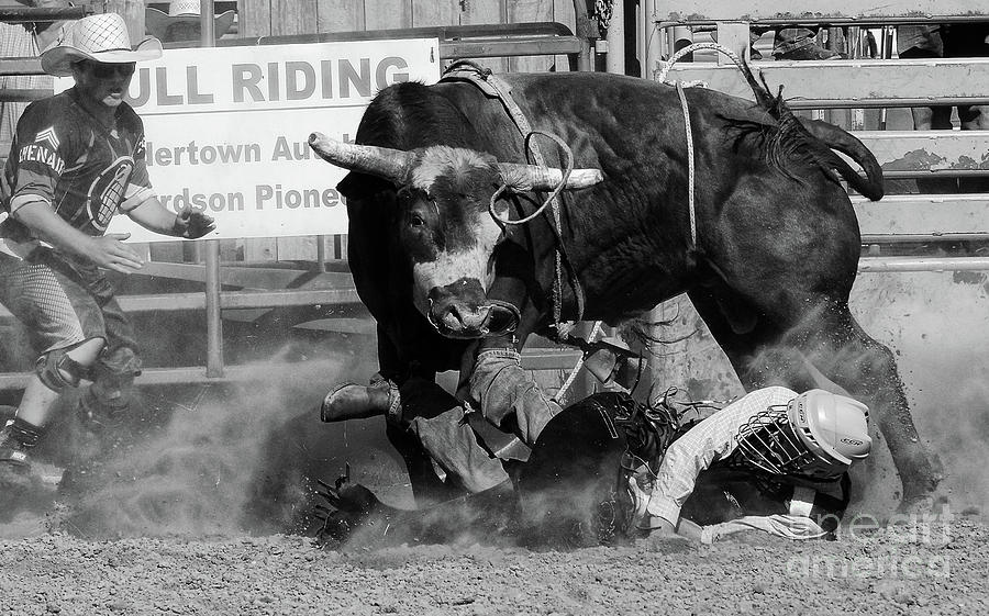 Rodeo Stars 9 Photograph by Bob Christopher