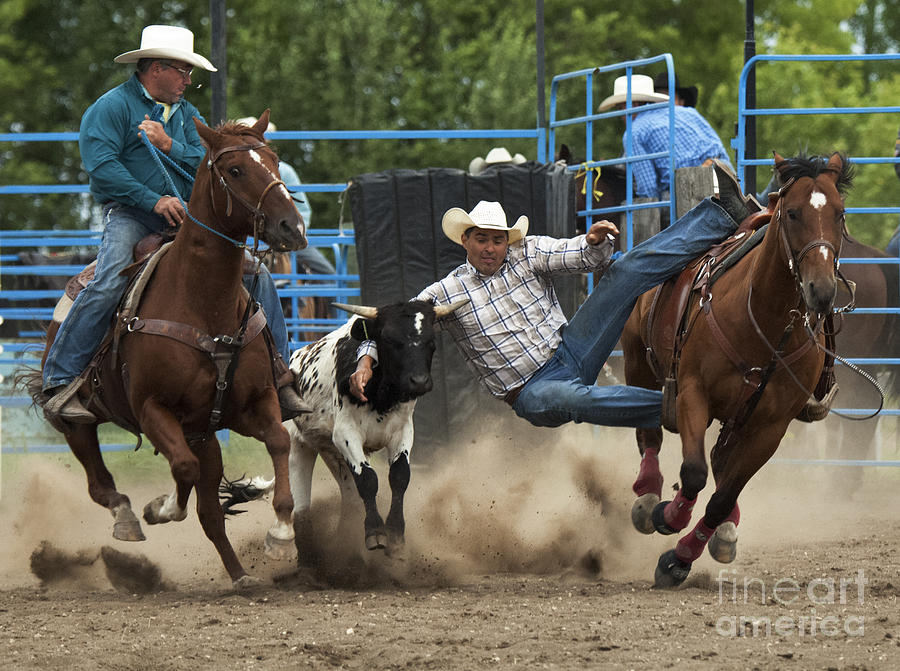 Rodeo Steer Wrestling 1 Photograph by Bob Christopher