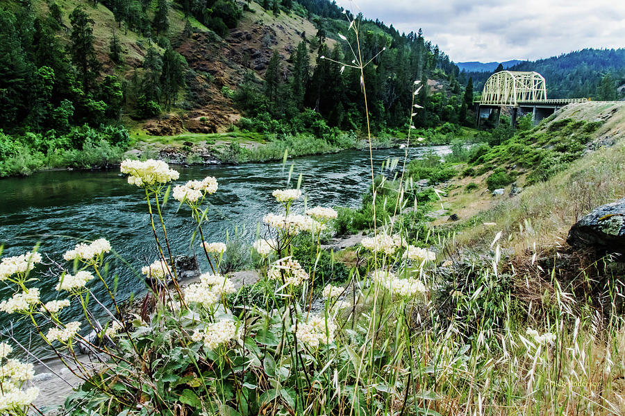 Rogue River near Galice Photograph by Mick Anderson