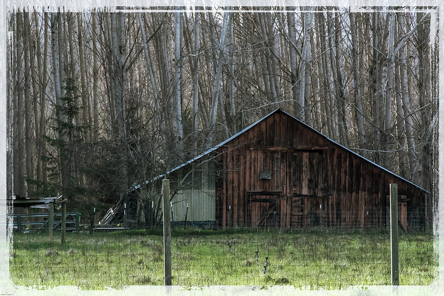 Tree Photograph - Rogue Valley Barn by Mick Anderson