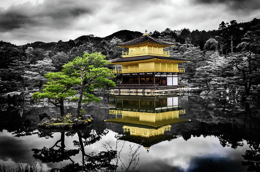  Rokuon-ji Temple Photograph by Howard Roberts