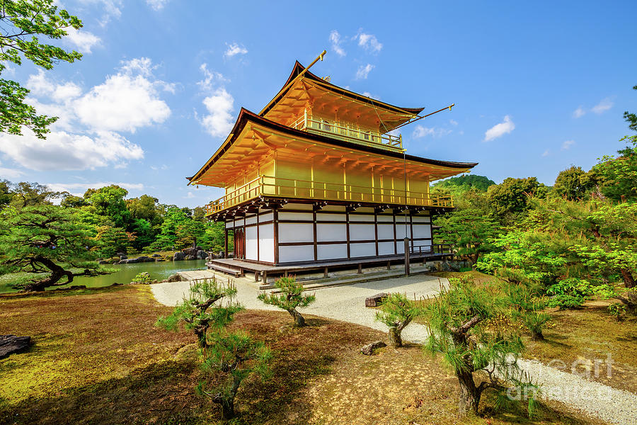 Rokuon ji Temple Kyoto Photograph by Benny Marty