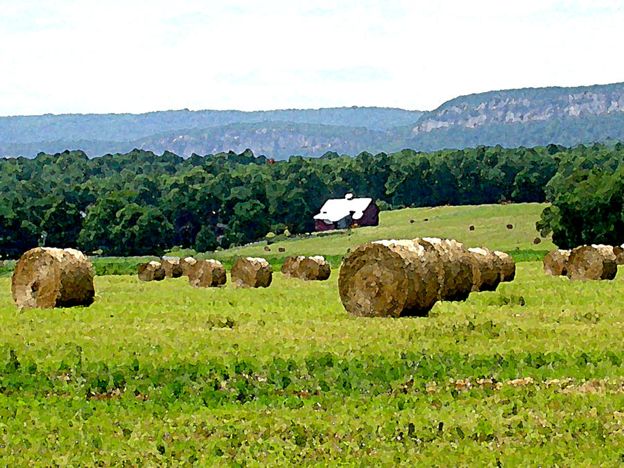 Rolled Bales Painting by Paul Sachtleben