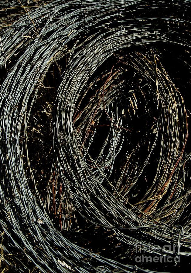 Rolled Barbed Wire-Signed-#1936 Photograph by J L Woody Wooden