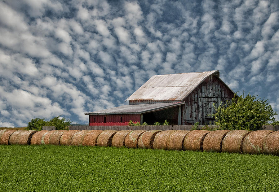 Rolled Up - Hay Rolls and Barn Photograph by Mitch Spence