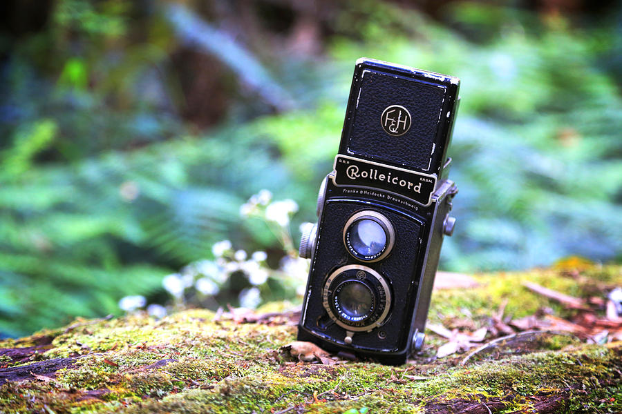 Rolleicord 2 Photograph by Keith Hawley