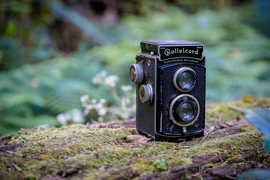 Rolleicord TLR Photograph by Keith Hawley