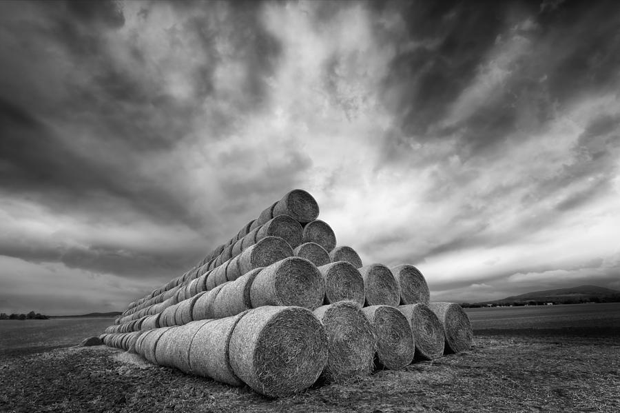 Black And White Photograph - Rollers by Piotr Krol (bax)