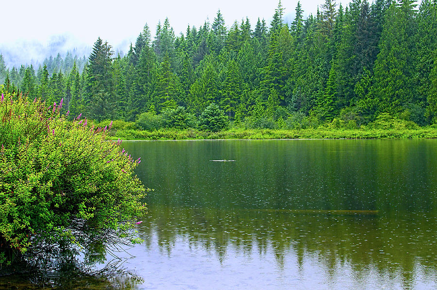 Rolley Lake In The Rain by Sharon Talson Rolley Lake In The Rain by Sharon Talson