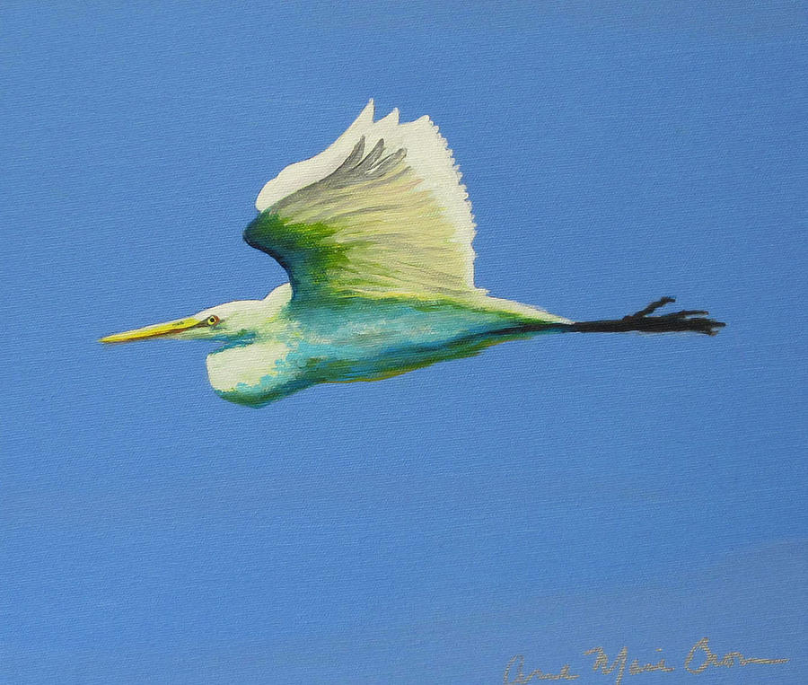 Rolling Egret Painting by Anne Marie Brown
